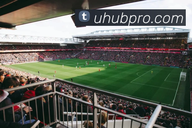 多媒体互动体验